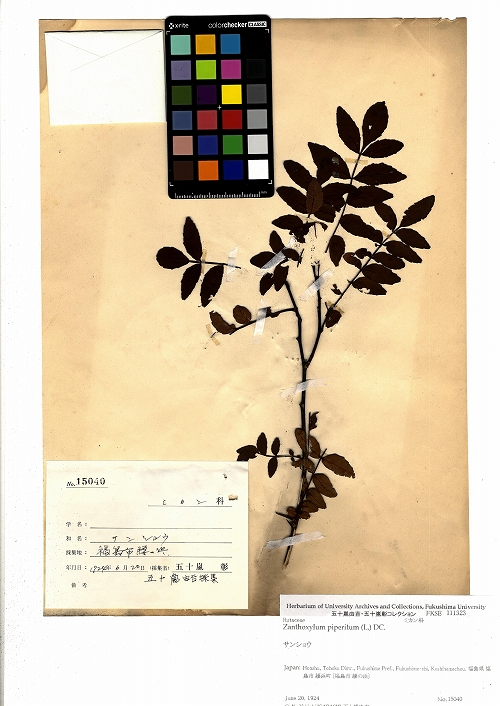島根大学 生物資源科学／生物資源科学研究科