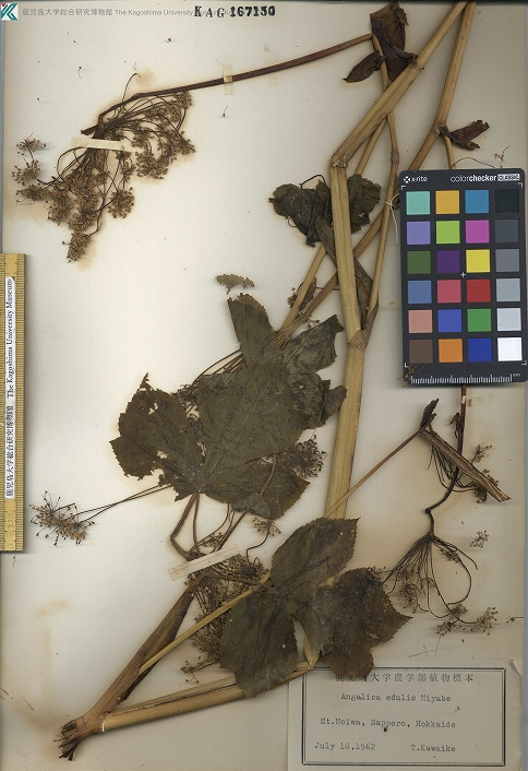 島根大学 生物資源科学／生物資源科学研究科